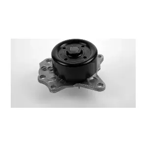 P7648 HEPU