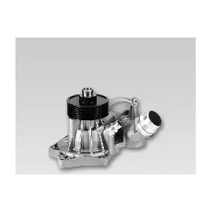 P491 HEPU