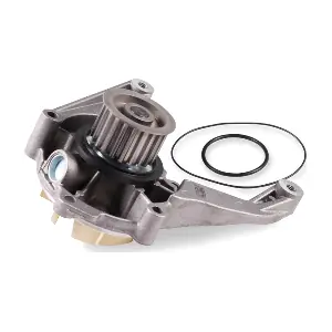 P1729 HEPU