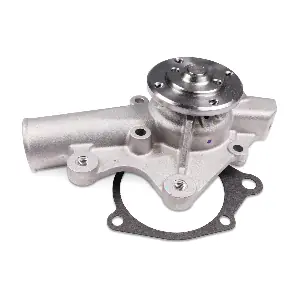 HEPU P1716