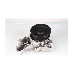 HEPU P487