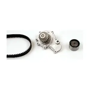 PK17171 HEPU