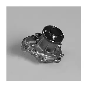 P7924 HEPU