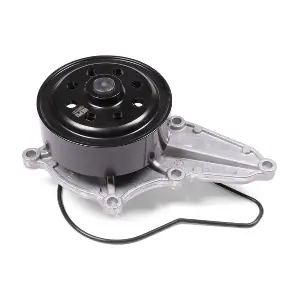 P7857 HEPU