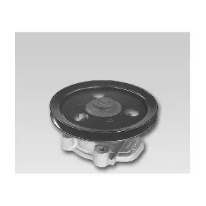 P787 HEPU