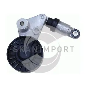 RSP 0809 SKANIMPORT