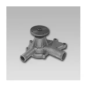 240259 METELLI