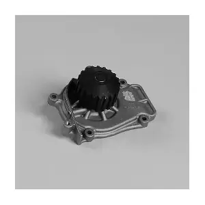 981785 GK
