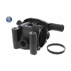 V25-99-0001 VEMO