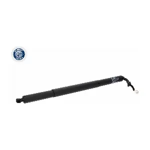 V10-55-0038 VEMO
