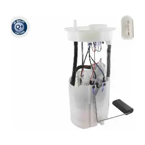 V10-09-1238 VEMO