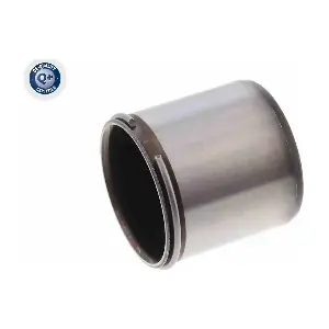 V10-25-0037 VEMO