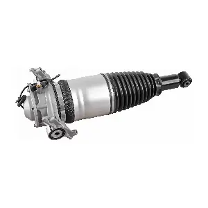 V10-50-0007 VEMO