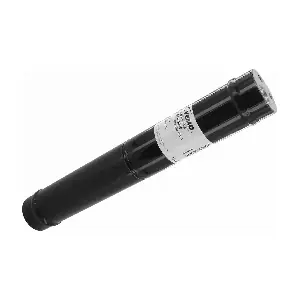 V10060006 VEMO