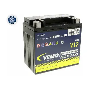 V99-17-0060 VEMO