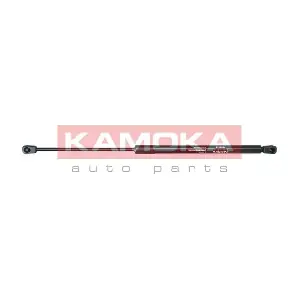 7091139 KAMOKA