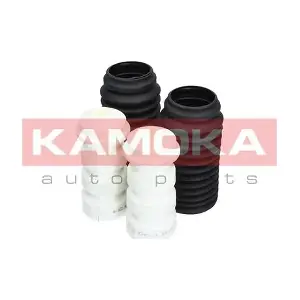 2019031 KAMOKA