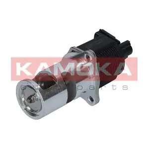 19009 KAMOKA