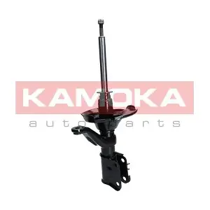 2000113 KAMOKA