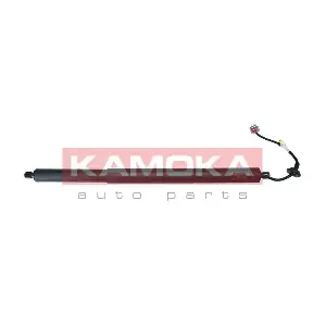 7094090 KAMOKA