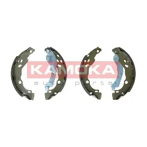 JQ202073 KAMOKA