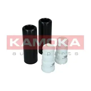 2019099 KAMOKA