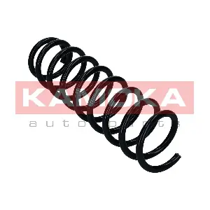 2120335 KAMOKA
