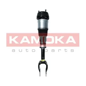 2070002 KAMOKA