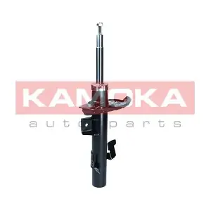 2001287 KAMOKA