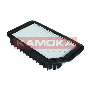 F246901 KAMOKA