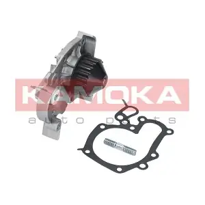 T0241 KAMOKA