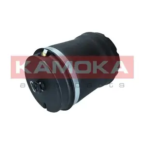 2079032 KAMOKA