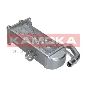 KAMOKA 19C071