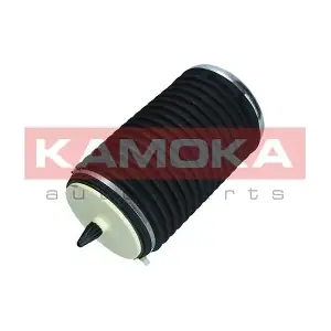 2079003 KAMOKA