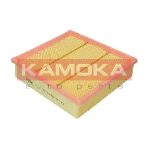 KAMOKA F241701