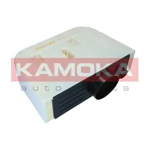 F260501 KAMOKA