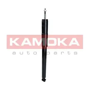 2001028 KAMOKA