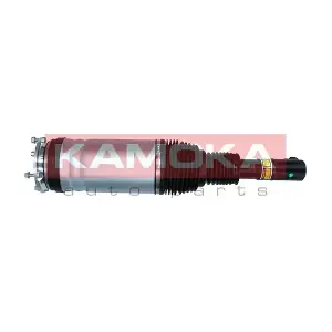 2070012 KAMOKA