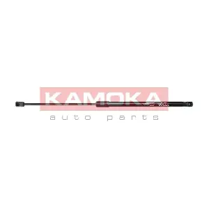 7091111 KAMOKA