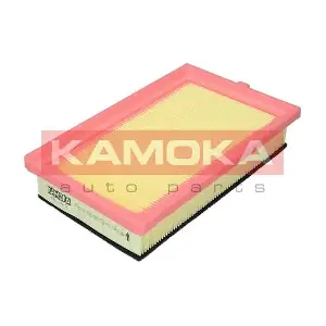 F243101 KAMOKA
