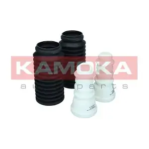 2019041 KAMOKA