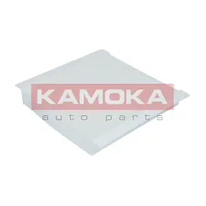 KAMOKA F412301