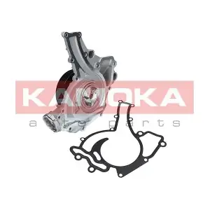 T0195 KAMOKA