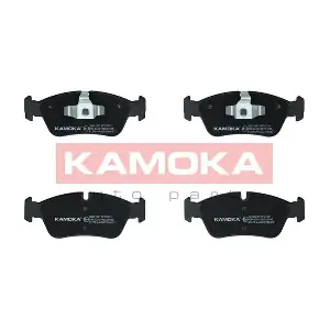 JQ101291 KAMOKA