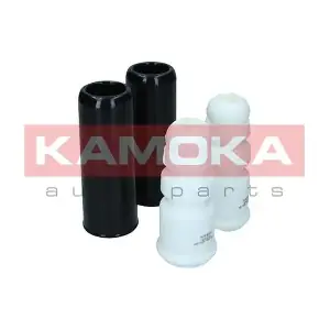 2019122 KAMOKA