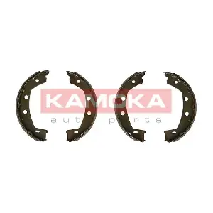 JQ212059 KAMOKA