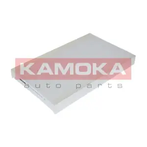 KAMOKA F403701