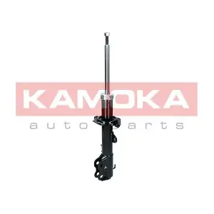 2000118 KAMOKA