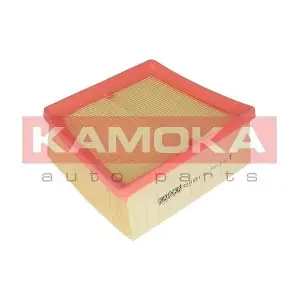 KAMOKA F231001