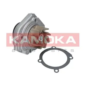 KAMOKA T0013